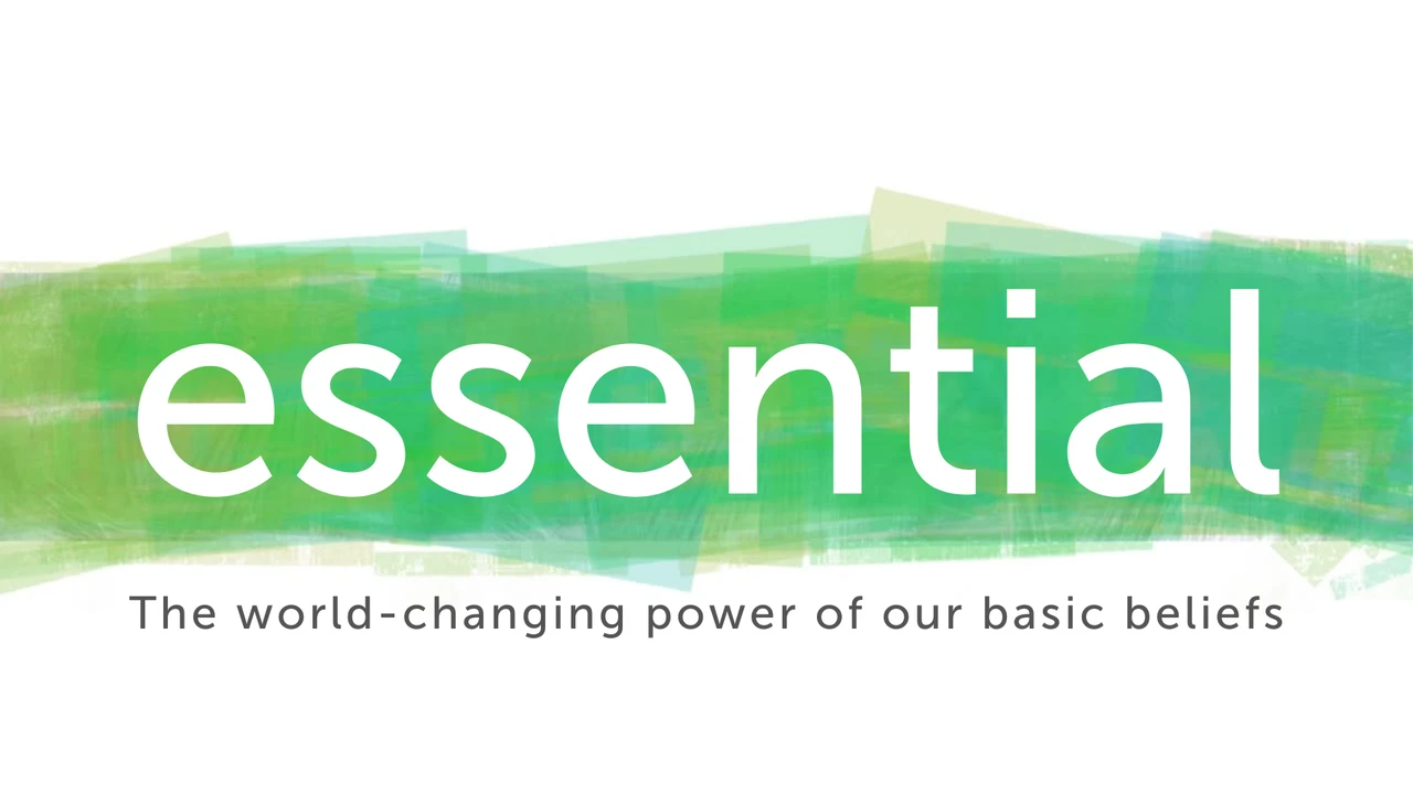 Two mint chocolate milkshakes with whipped cream and green sprinkles.