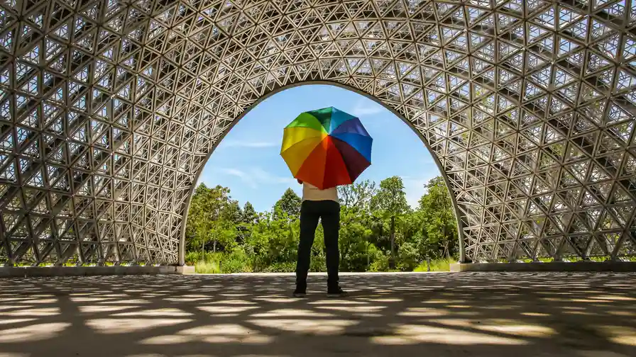 pork chops with cream sauce