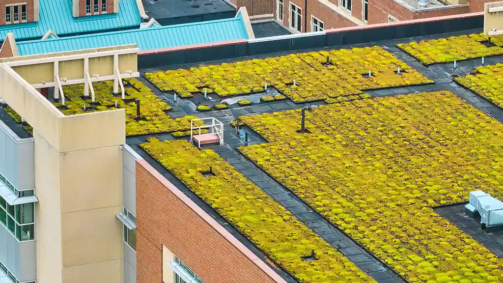 Close up on a plate of mashed potatoes, topped with baked pork chops with cream of mushroom soup, and a side of green beans.