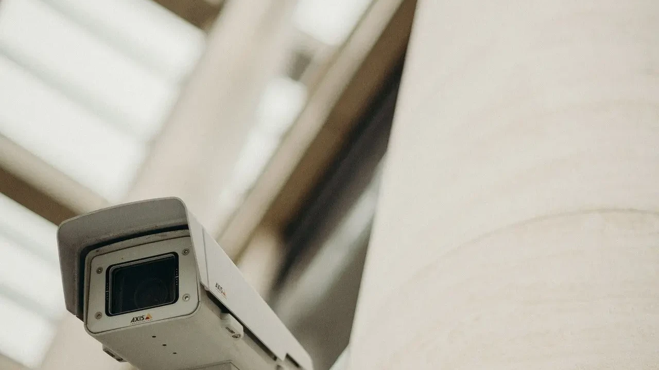 Two mint chocolate milkshakes with whipped cream and green sprinkles.