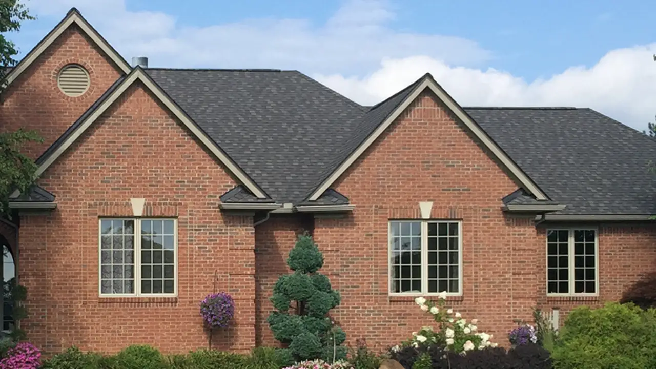 Two mint chocolate milkshakes with whipped cream and green sprinkles.