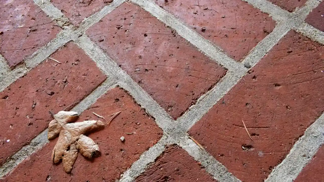 Close up on a plate of mashed potatoes, topped with baked pork chops with cream of mushroom soup, and a side of green beans.