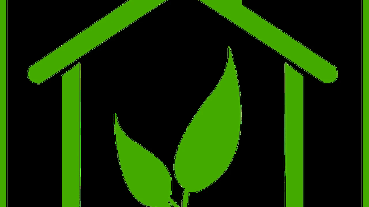 Two mint chocolate milkshakes with whipped cream and green sprinkles.