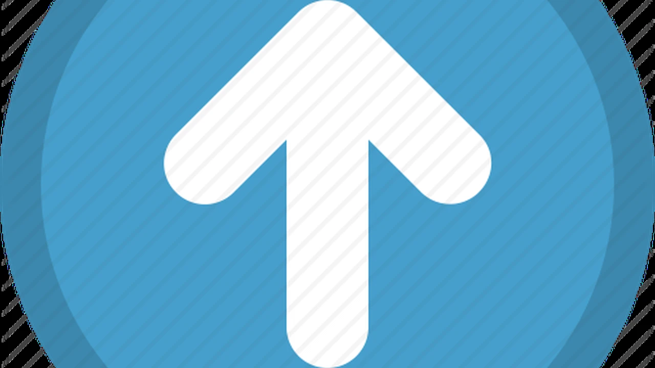 Two mint chocolate milkshakes with whipped cream and green sprinkles.